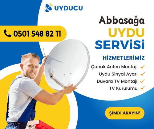 Abbasağa Uydu Servisi